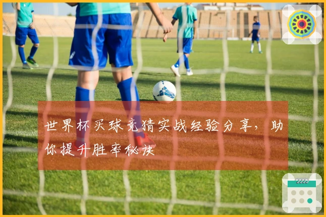 世界杯买球竞猜实战经验分享，助你提升胜率秘诀